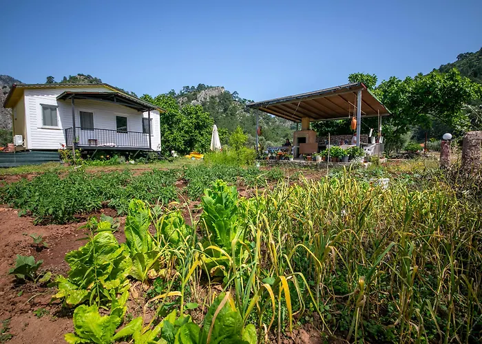 Bed and Breakfast Guelsuem Hanim Evleri Orhaniye (Marmaris)