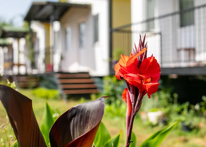 Guelsuem Hanim Evleri *