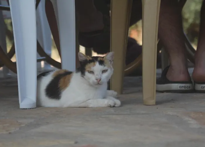 Guelsuem Hanim Evleri Bed and Breakfast Orhaniye (Marmaris)