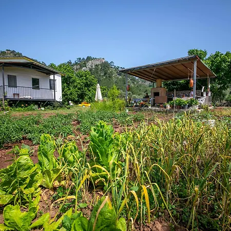 Bed & Breakfast Guelsuem Hanim Evleri Orhaniye (Marmaris)