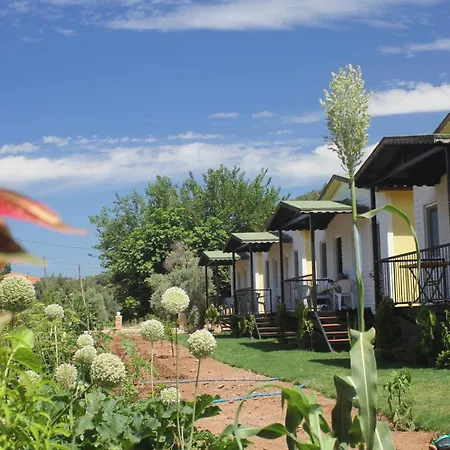 Guelsuem Hanim Evleri Bed & Breakfast *